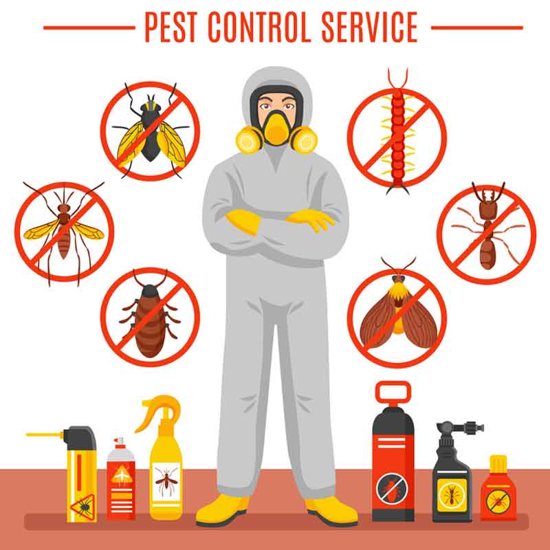 24 hour pest control service london